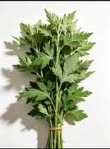 艾草